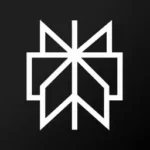 Perplexity Logo